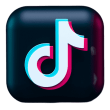 TikTok downloader on PC